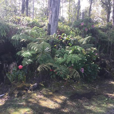 Simply Convenient Tropical Country Studio Mountain View Eksteriør billede