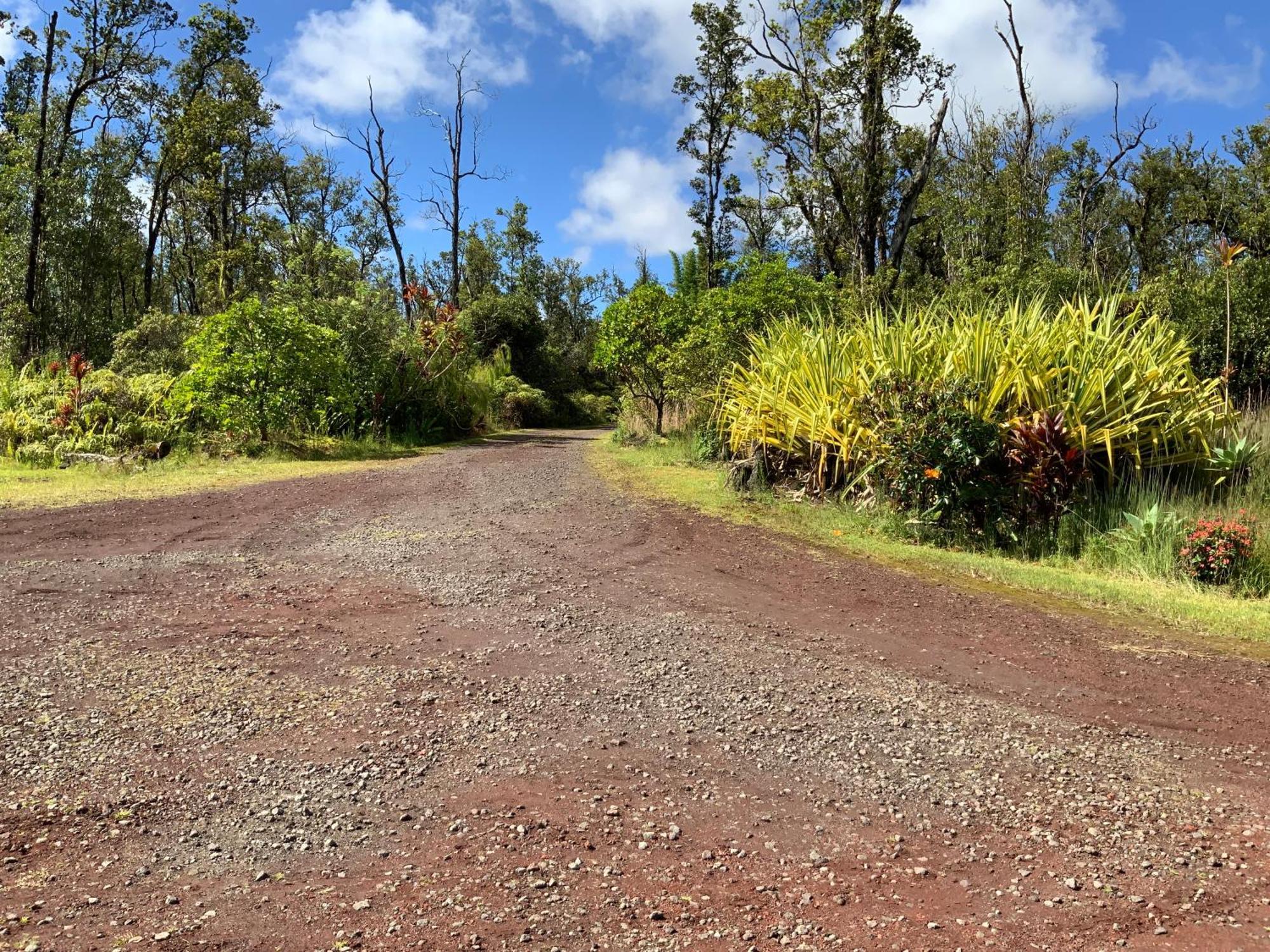 Simply Convenient Tropical Country Studio Mountain View Eksteriør billede